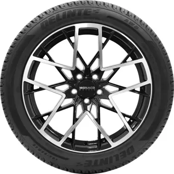 Anvelope Allseason - DELINTE AW6 - 215/60 R17 100V - Poza 3