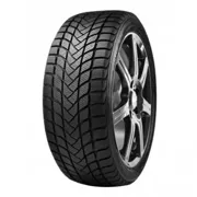 Cauciucarie.ro - Anvelopa Iarna DELINTE WD1 195/60 R15 88H