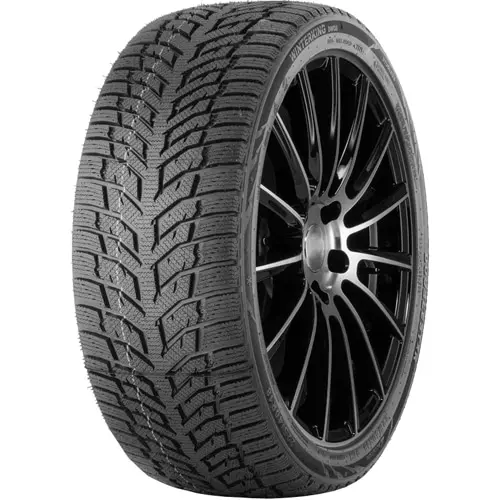 Cauciucarie.ro - Anvelopa Iarna DOUBLESTAR DW08 205/55 R16 91T