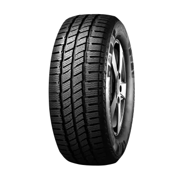 Cauciucarie.ro - Anvelopa Iarna EVERGREEN EW616 225/75 R16C 118R