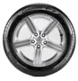 Anvelope Vara - PIRELLI CINTURATO P7 - 225/55 R17 97Y - Poza 4